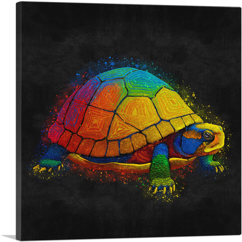Tortue, tortue, reptile, reproduction d'art sur toile tendue, H 36 po x l 36 po x 1,5 po