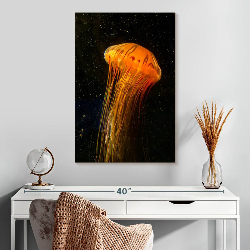 Brampt Pacific Sea Nettle, 30" H x 20" W