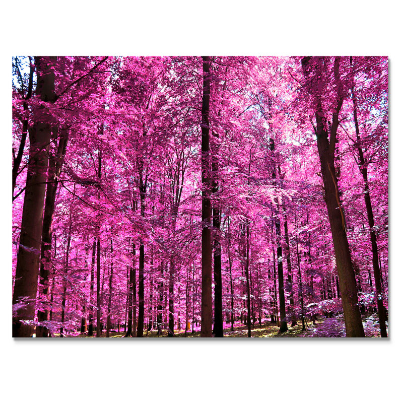 Rose et mauve, fantaisie, paysage de forêt - œuvre d'art traditionnelle sur toile, H 16 po x l 32 po x P 1 po, Toile tendue