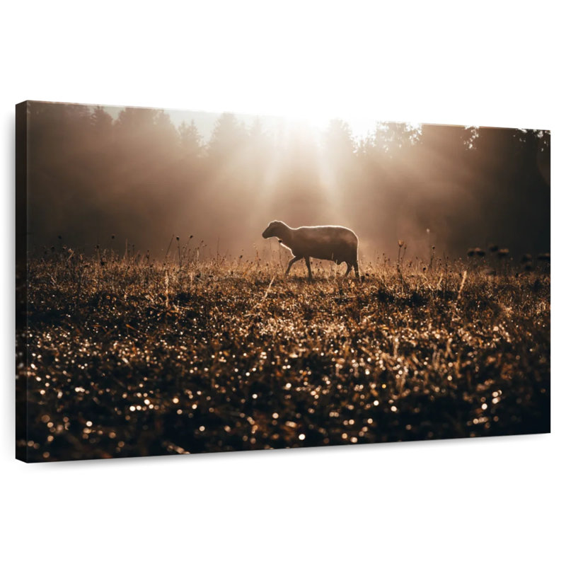 Moutons perdus, H 16 po x l 24 po