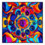 Tapis Stellar Bloom-398562078