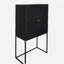 31.5x16.5x60" Cabinet, Black