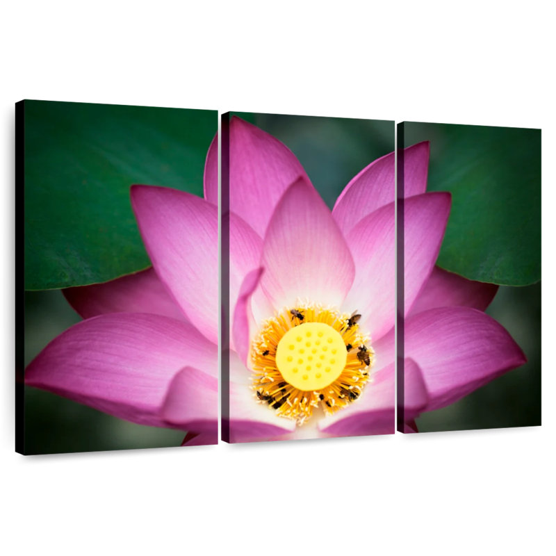 Harnek Bees On Lotus, 48" H x 74" W