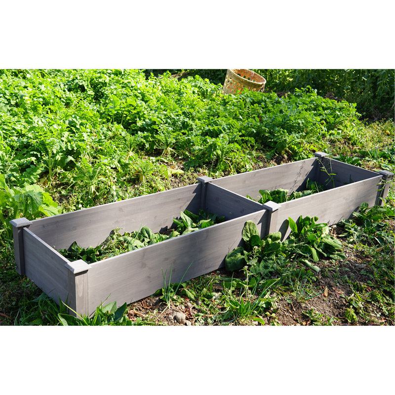 Axavier Planter Box