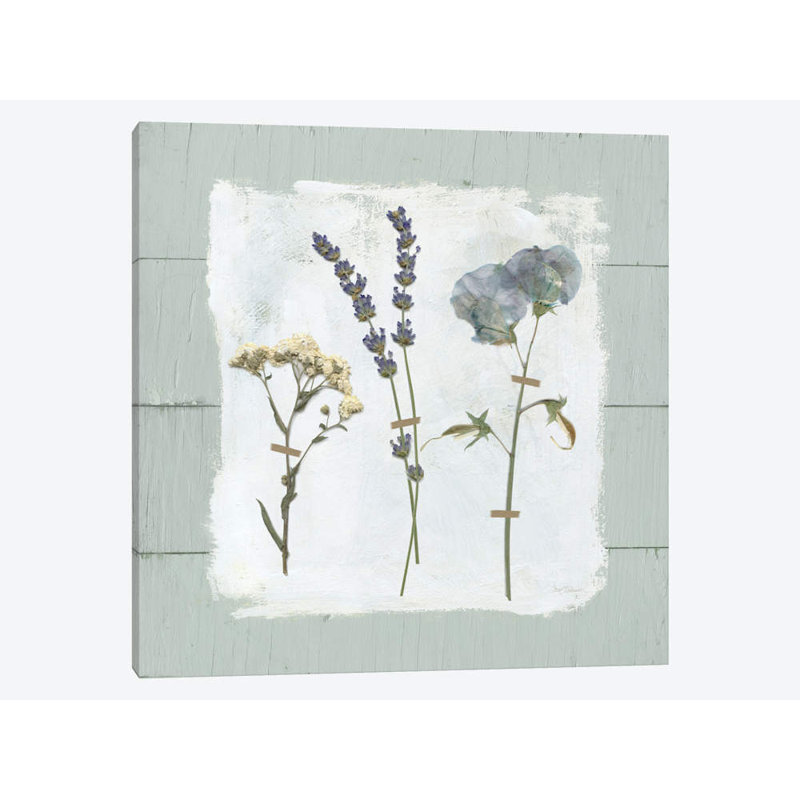 Carol Robinson - Wrapped Canvas Print, 66.04 cm H x 66.04 cm W x 3.175 cm D