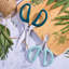 Kitchenaid 2 Piece Shear Set-1525674520