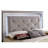 Aghanliss Tufted Standard Bed-106241447-106241445