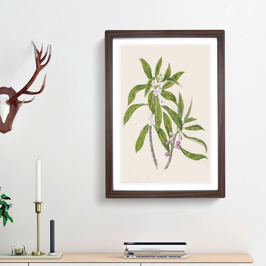 Ngaio Flowers by Sarah Featon - Framed Print