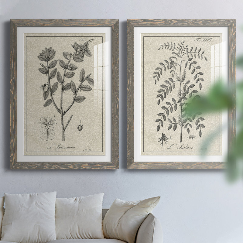 Antique botanique noir et blanc antique - ensemble de 2 reproductions d'art, H 43,5 po x l 31,5 po x P 1 po, Blanc