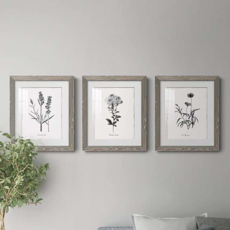 Simply Imperial - Ensemble de 3 cadres photo, Gris, H 31,5 po x l 43,5 po x P 1 po