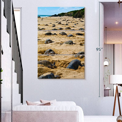 Brampt Nesting Turtles