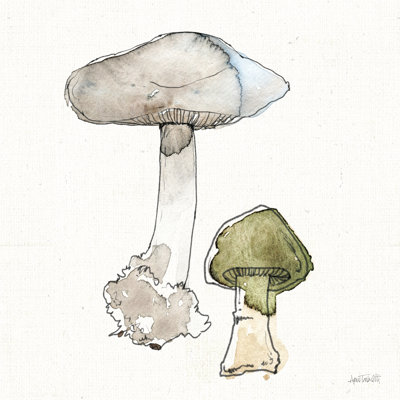 Fresh Farmhouse Mushrooms III by Anne Tavoletti - Wrapped Canvas Painting