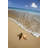 Gattis Beach Starfish by Spanishalex - Wrapped Canvas Photograph-1678376143