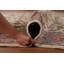 Tapis traditionnel floral fait à la main 7 x 10