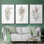 Ensemble de 3 reproductions de photos sur toile Dicat Botanical I-97754147-97754144