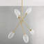 ALBERTON 6 LIGHT CHANDELIER-249582683