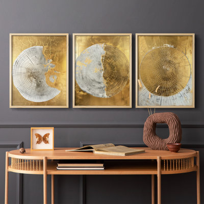 Abstract  Series  LXXIII  -Set Of 3 Framed Giclee Prints -Ready to Hang