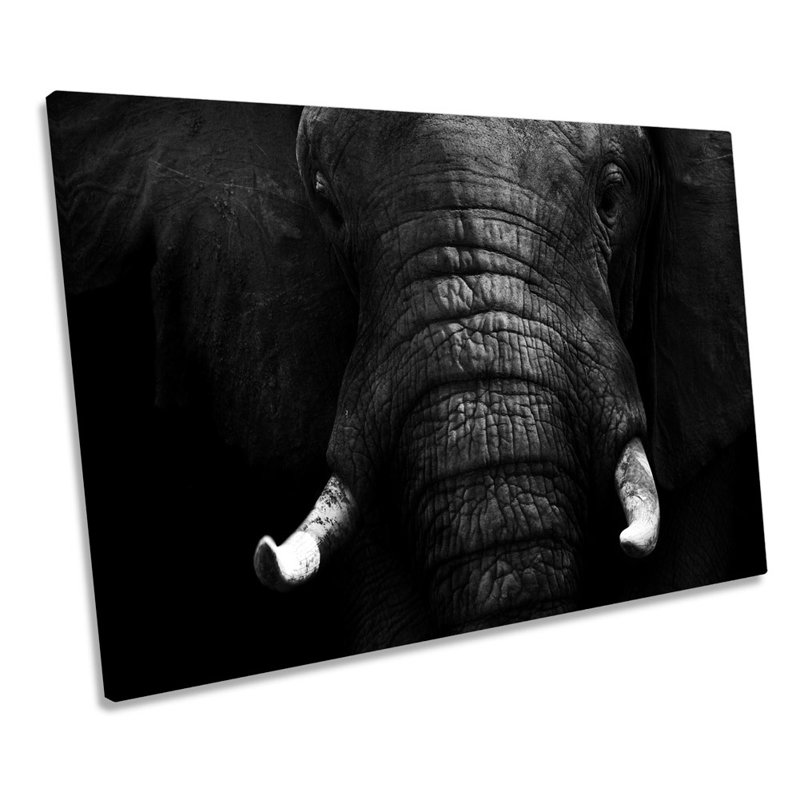 Elephant Mono B&W - Wrapped Canvas Print, 30.5cm H x 45.7cm W x 2cm D