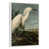 Floating Frame White