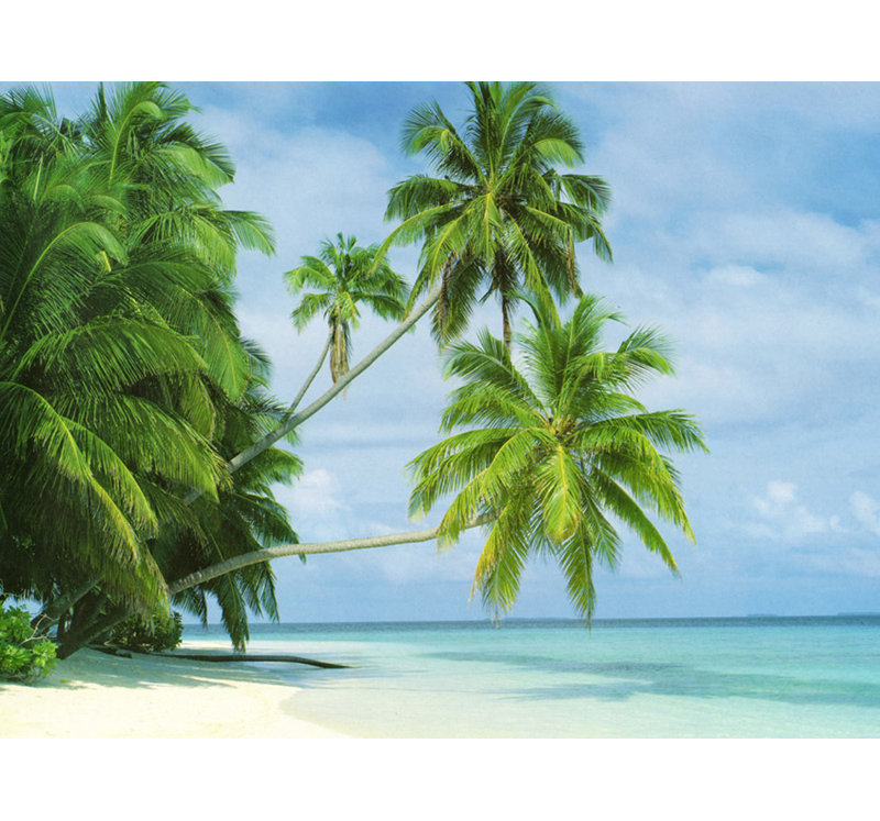 Fihalhohi Island, H 18 po x l 24 po