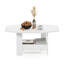 Table basse simple avec compartiment de rangement Ebern Designs, blanc-1701863033