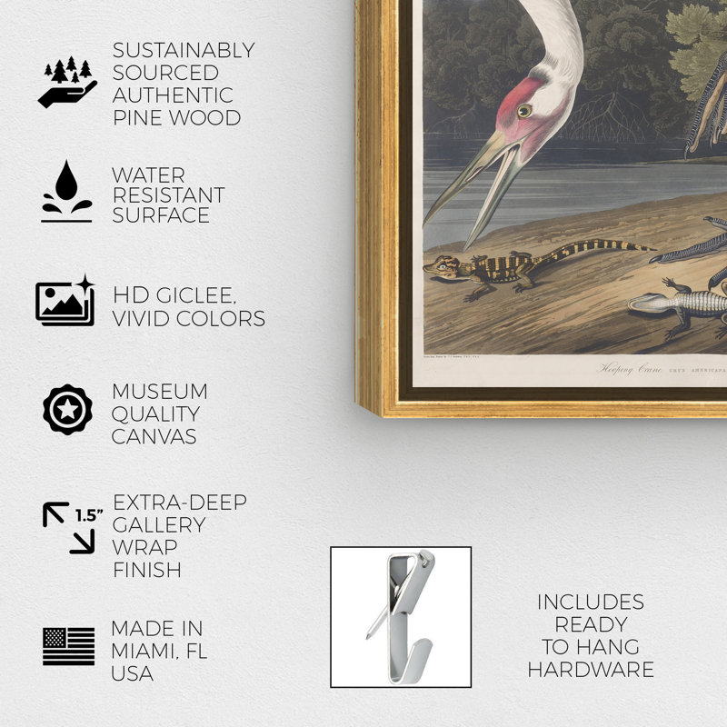 Ho Hoing Crane par Robert Havell - Impression sur toile, H 24 po x l 36 po x P 1,5 po, Cadre doré