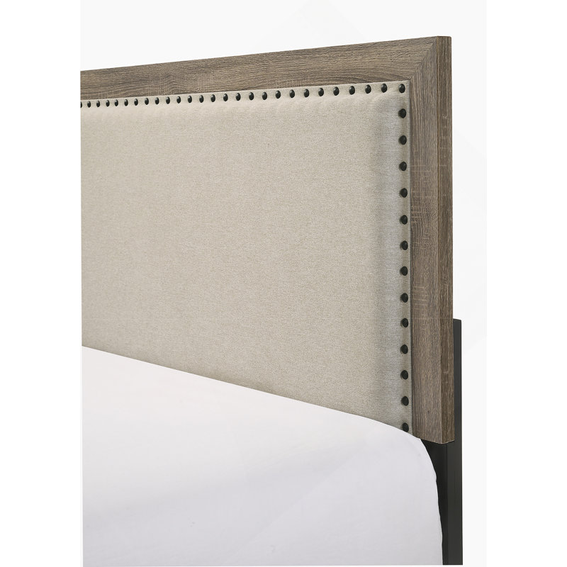 Shristi Fabric Upholstered Headboard Tufted Nailhead Trim 1pc Panel Bed Beautiful Wooden Bedroom Furniture, Queen, Gray