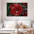Harnek Winter Red Rose-108714369