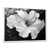 Cadre flottant blanc