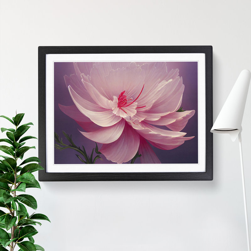Creative Carnation Flower - Single Picture Frame Print, Black, 25cm H x 34cm W x 2cm D