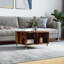 Miria Coffee Table with Storage-1891863254
