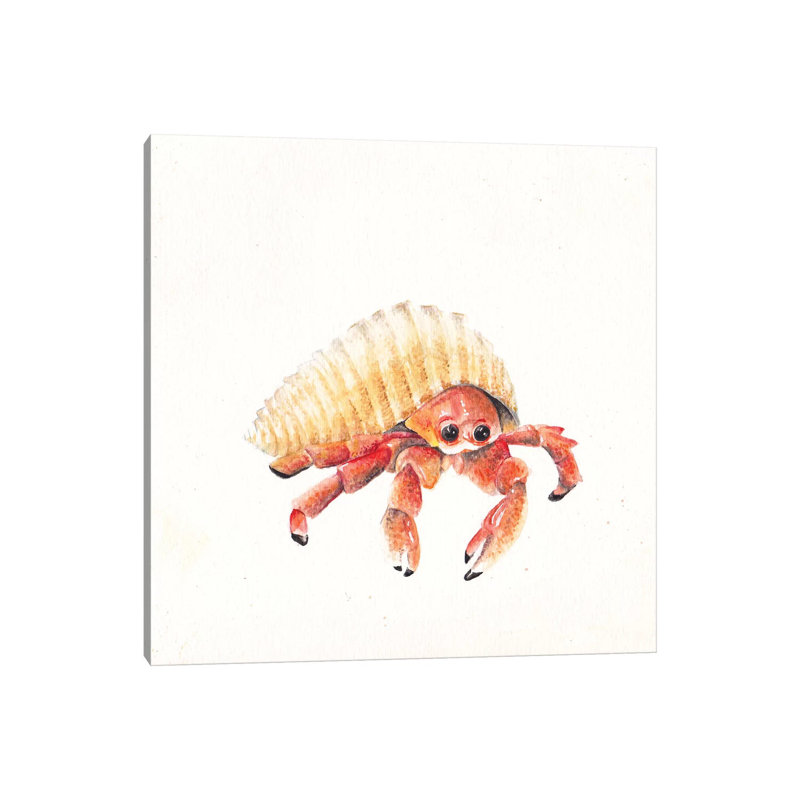 Hermit Crab 1 Piece Wrapped Canvas Painting, 30.48 cm H x 30.48 cm W