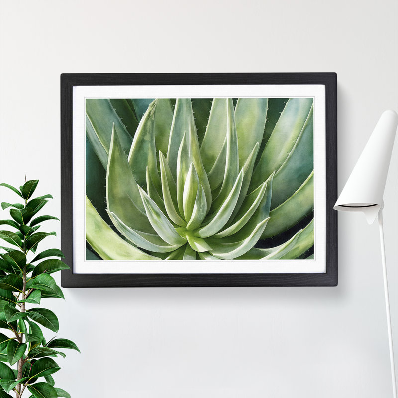 Watercolour Aloe Vera Plant - Single Picture Frame Painting, 34cm H x 46cm W x 2cm D, Black Framed