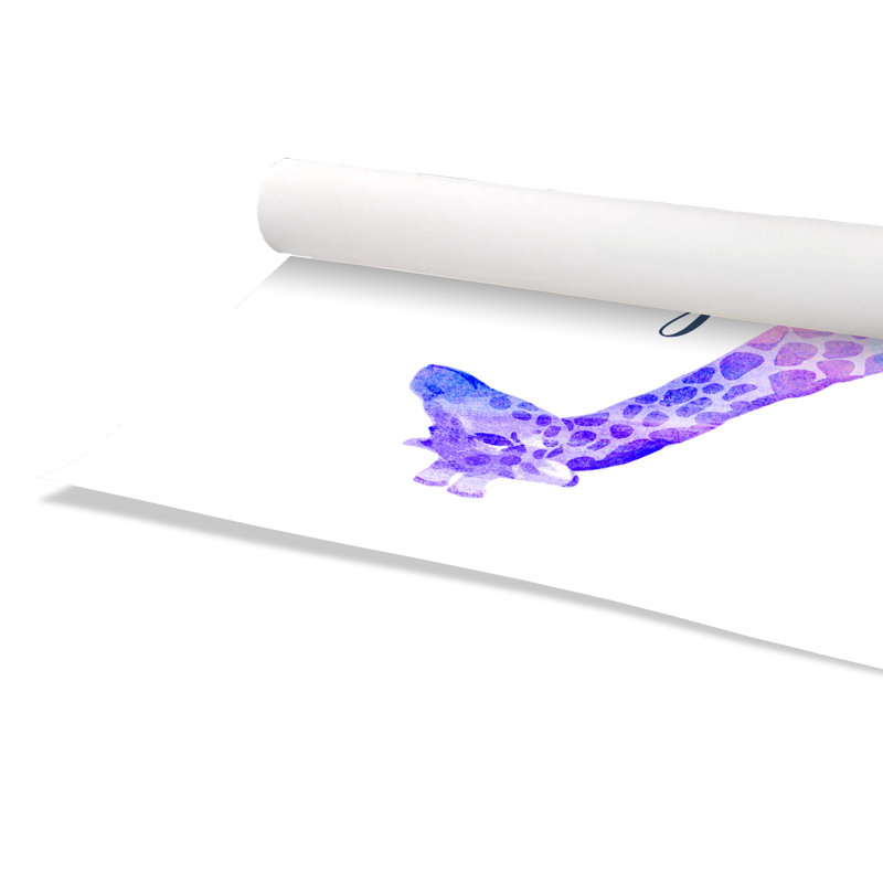 Impression sur papier Rolled Dream Big, H 10 po x l 8 po x P 1 po