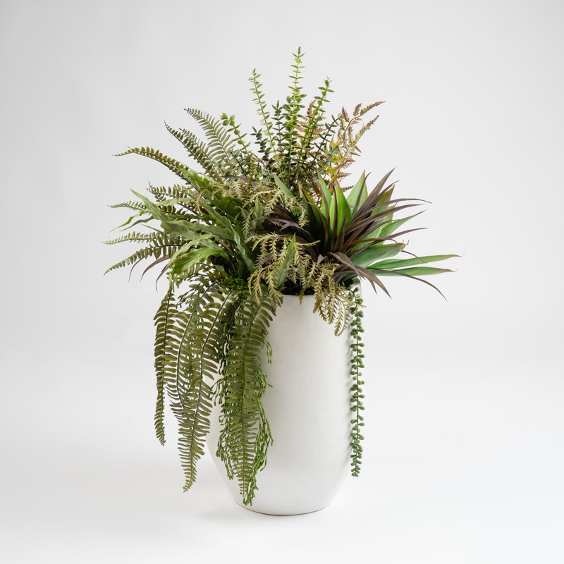 Antavia Faux Foliage Plant in Cement Pot, White
