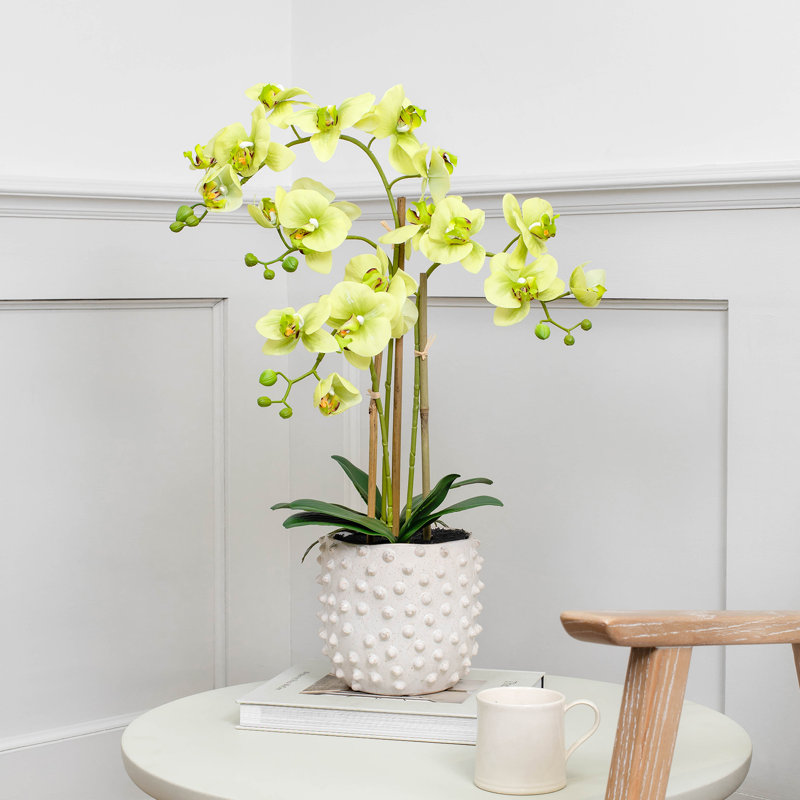 Arrangement