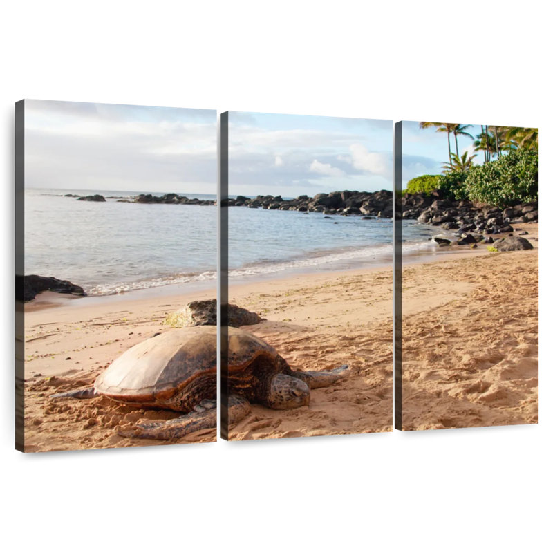 Brampt Turtle Beach, 20" H x 33" W