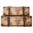 Ensemble de coffre 2 pièces style rétro en cuir old world map Prem