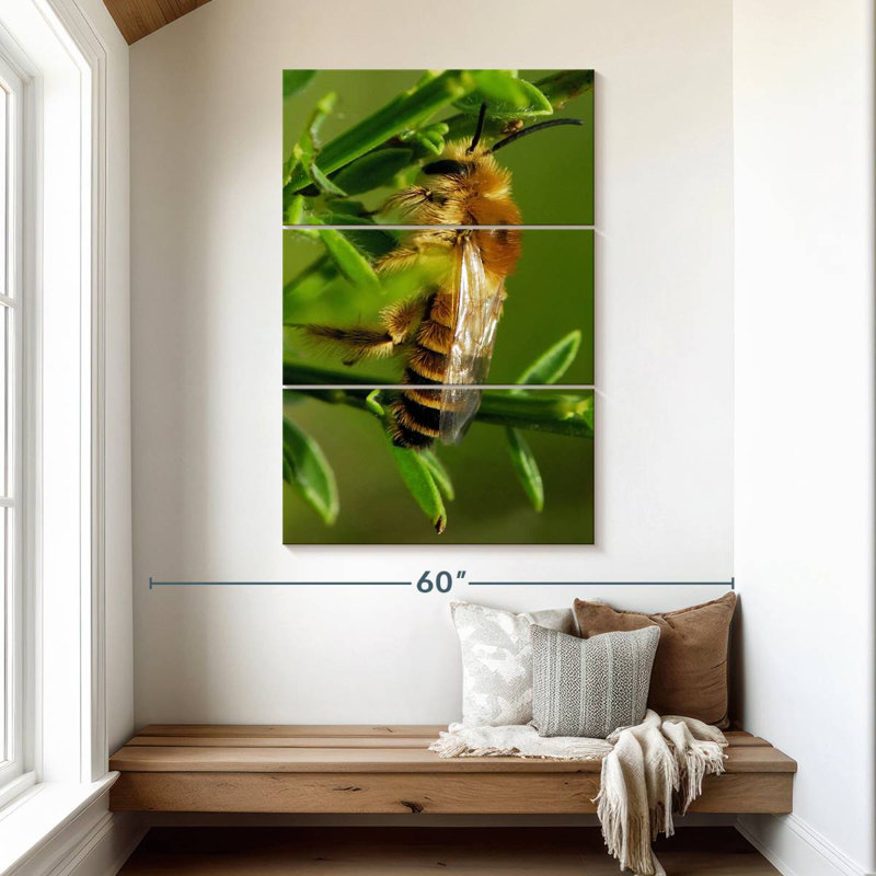 Brampt Bee Bee Bee, 50" H x 32" W