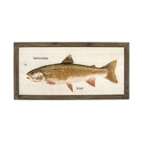 Trout Print