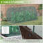98" W x 47.2" D Mini Greenhouse