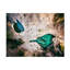 Art sur toile «ologicologico »par Antonio Carrillo Lopez-109335056