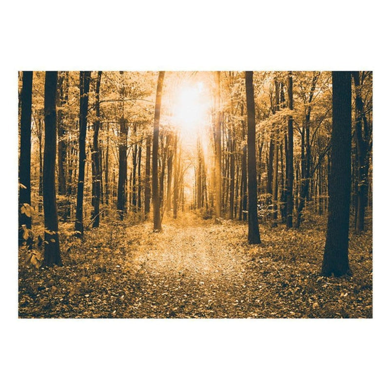 Ddnna Wall Mural, 55" L x 78" W