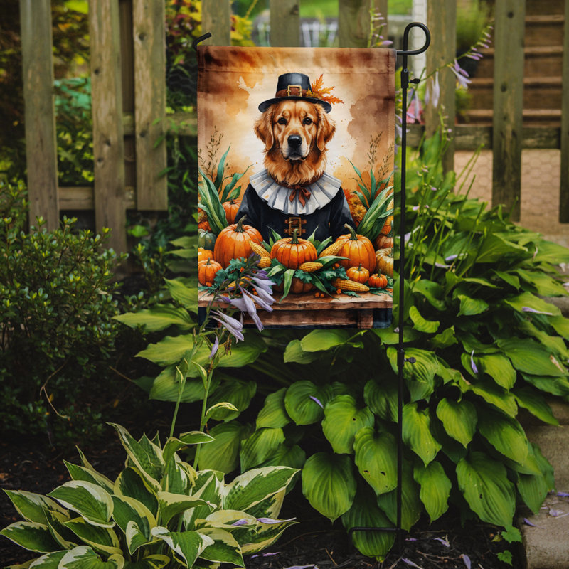Drapeau du jardin de l'Action de grâce, Golden Retriever
