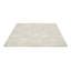 Hand Tufted Floral Area Rug in Cream/Beige-52732564
