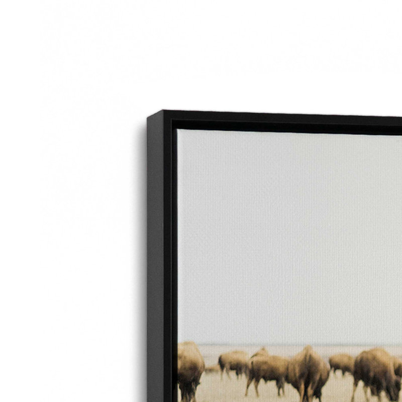 Impression sur toile Wild Plains, Cadre flottant noir satiné, H 24,75 po x l 36,75 po x P 1,75 po