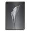 «Calla No. 4» par PhotoINC Studio-1996473091