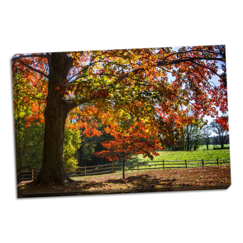 « automne on the plantation ii », reproduction de photo, H 16 po x l 24 po x P 0,75 po, Toile tendue