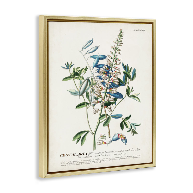 "Botanical Plant Illustration Flowers and Leaves", art mural rétro sur toile par World Art Group, H 31 po x l 25 po