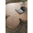 Bobbie Coffee Table